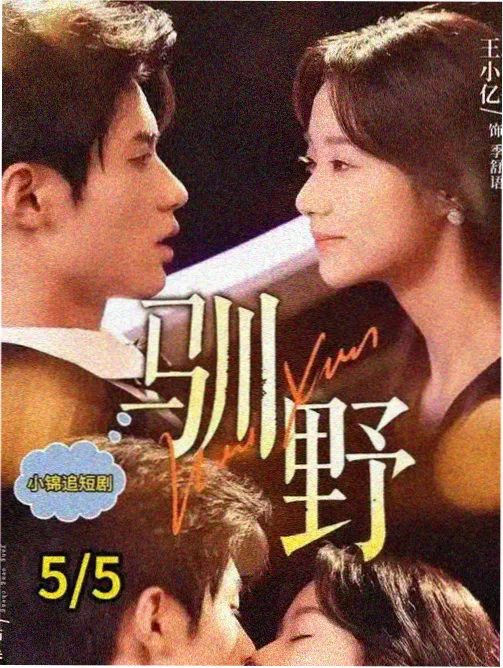 剧集字幕分季整理